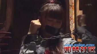 国产大神视频有哪些系列,精彩纷呈，不容错过  第2张