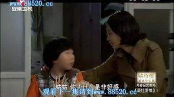 国产有对白视频普通话,普通话魅力绽放  第2张