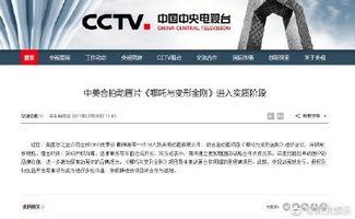 谁有国产资源视频网站,盘点国内拥有丰富资源视频网站的精彩瞬间  第2张