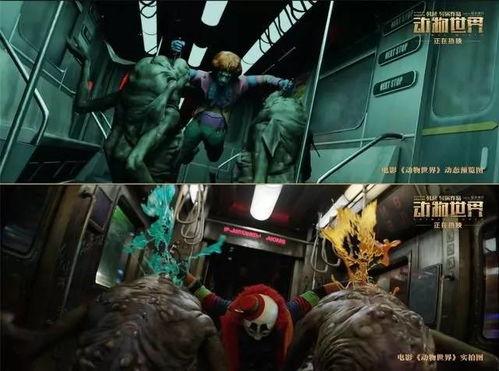 动物世界国产版视频,国产版奇观之旅